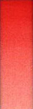 E 154 Cadmium red medium (vermilion)