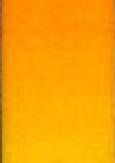 B 127 Indian yellow orange lake extra