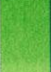 D 44 Cadmium green light