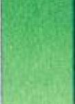 D 45 Cadmium green deep
