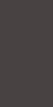 408 Raw umber